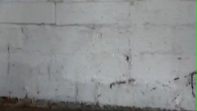 Ultra engulfs Jasmine Jae urinating in public